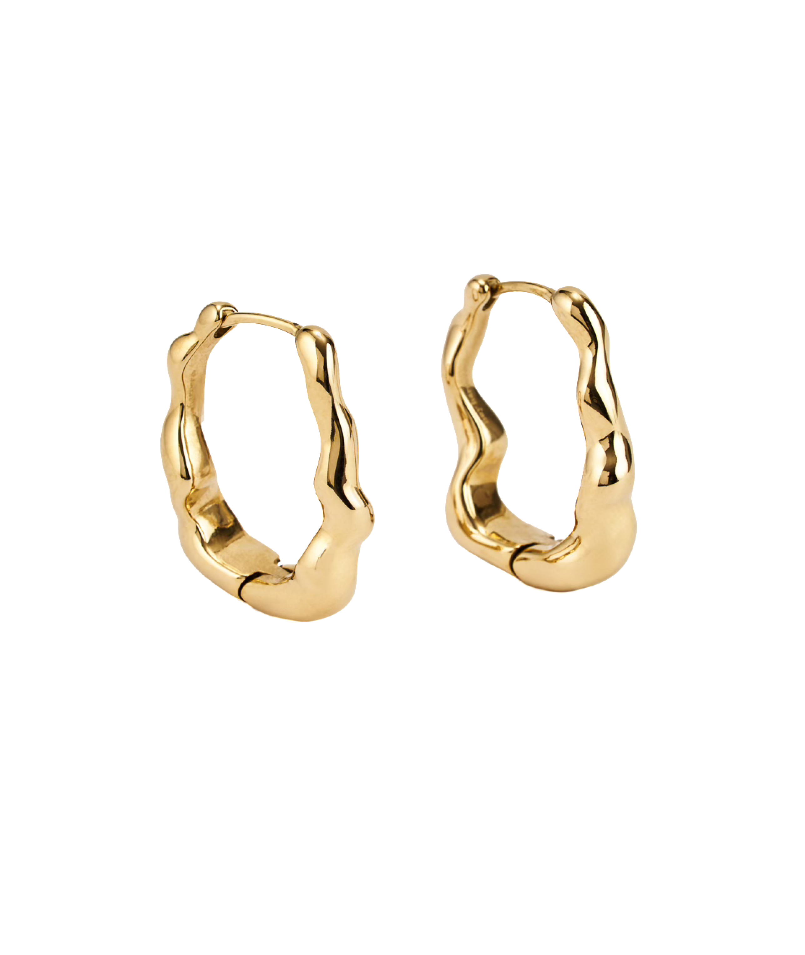 Dazzling Long Earrings