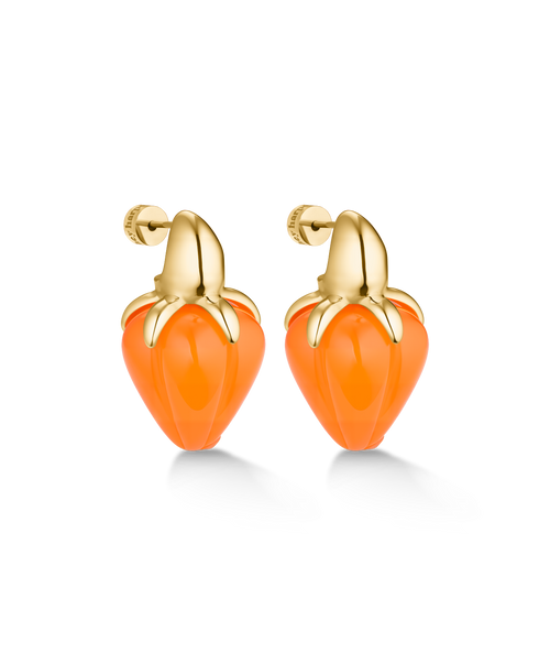 Brazilian Caju Stud Earrings