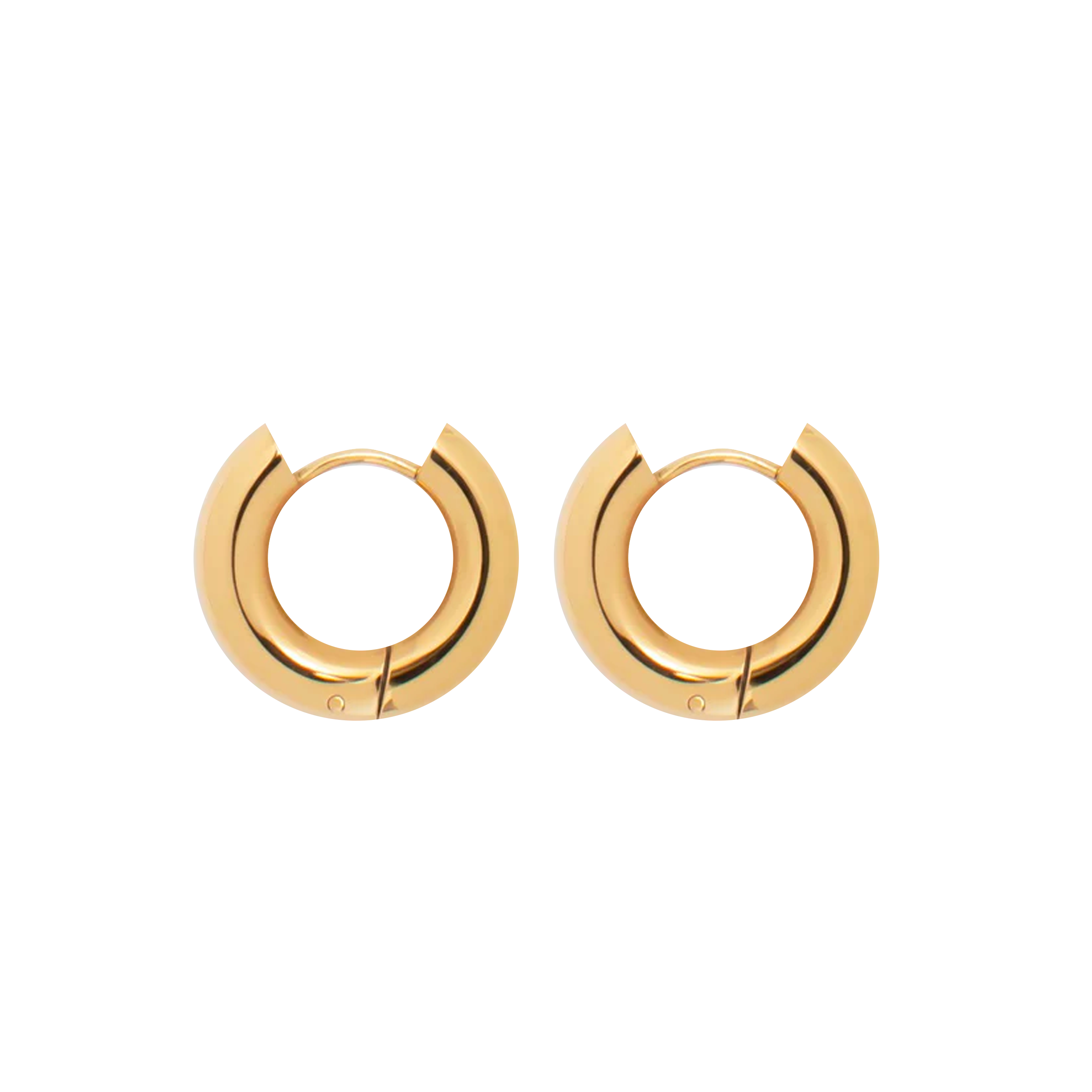 Nicole Hoop Earrings (2244001398897)
